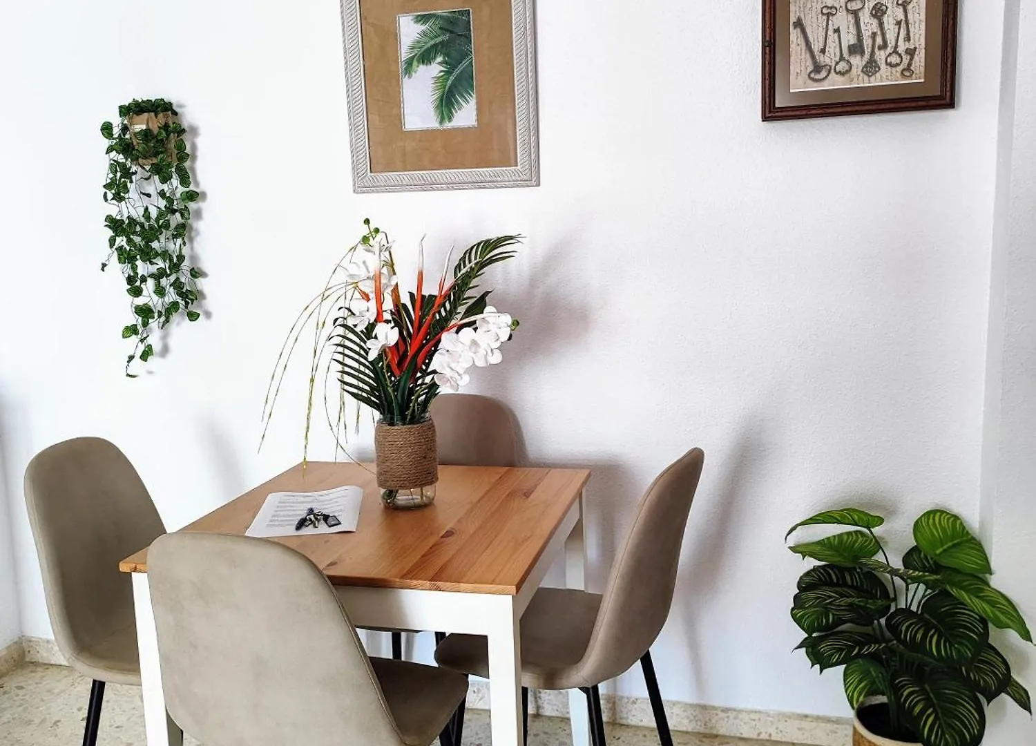 Piso Aurora Apartment Barbate